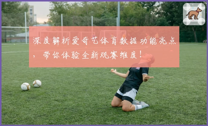 深度解析爱奇艺体育数据功能亮点,带你体验全新观赛维度!