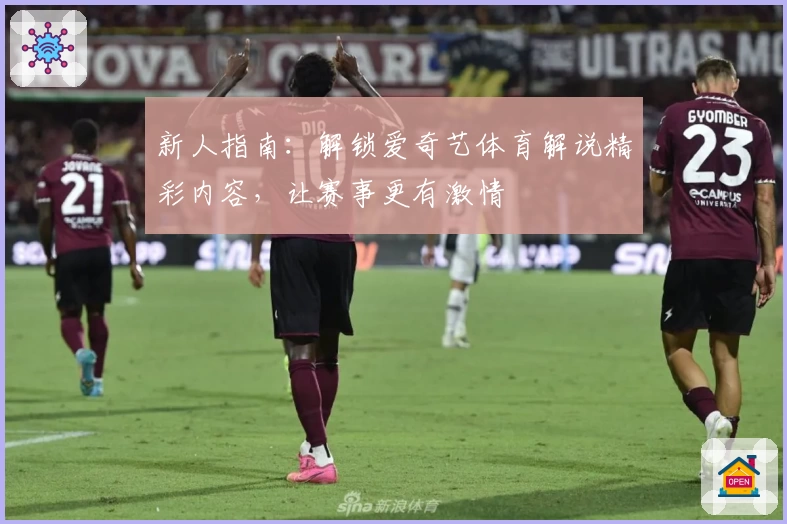新人指南：解锁爱奇艺体育解说精彩内容，让赛事更有激情