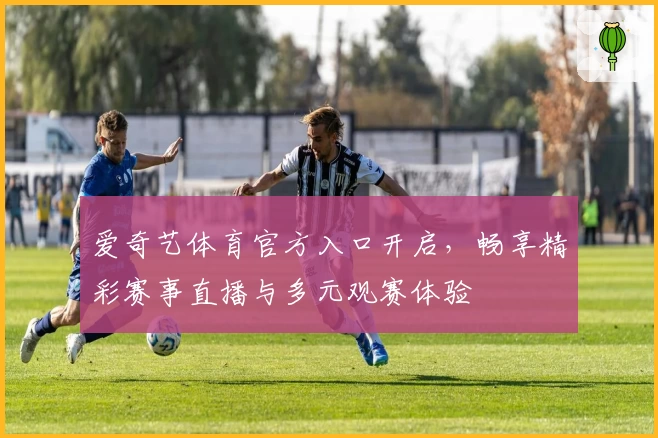 爱奇艺体育官方入口开启,畅享精彩赛事直播与多元观赛体验