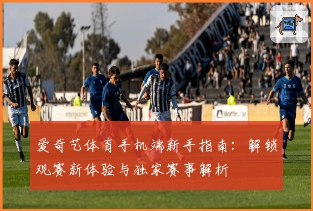 爱奇艺体育手机端新手指南：解锁观赛新体验与独家赛事解析